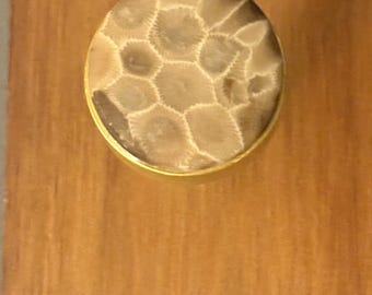 Lake Michigan Polished Petoskey Stone Towel hook