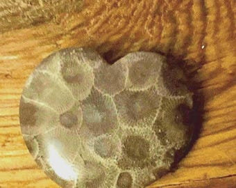 Lake Michigan Polished 1.5” Heart Petoskey- in display case