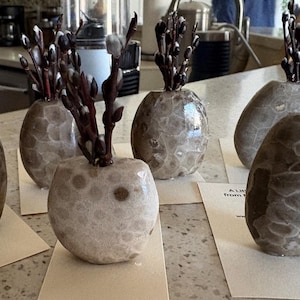 A little Pot from Michigan with Native pussywillows