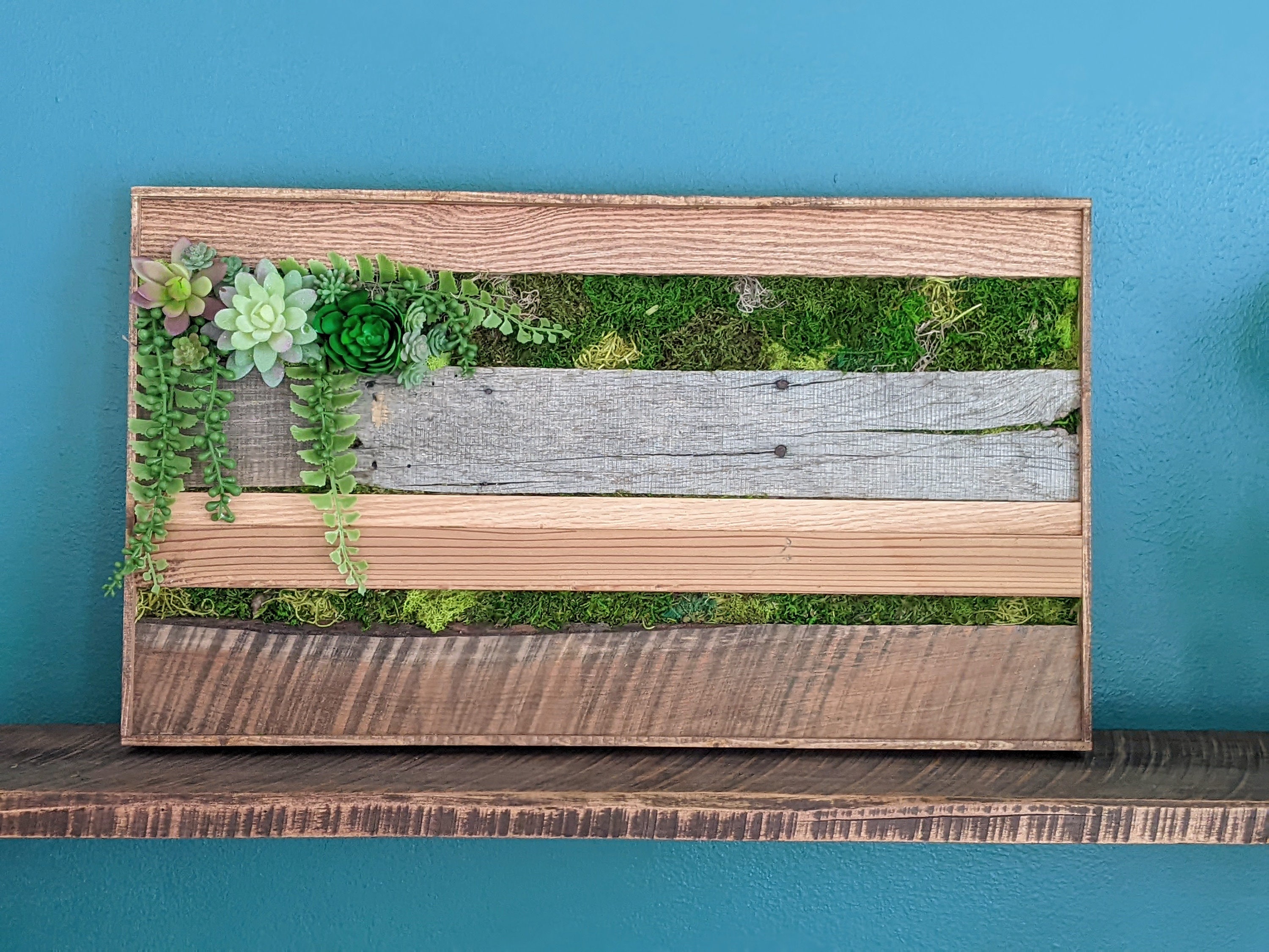 Faux Succulent Moss Wall Art, Farmhouse Preserved Moss Wall