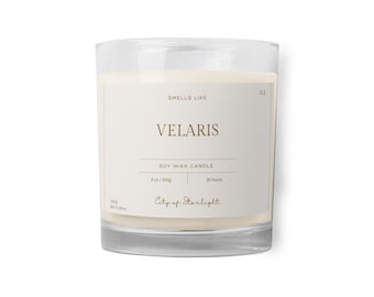 Lustige Acotar Kerze, Acotar Fan Geschenk, Acomaf, Ein Gericht aus Dornen und Rosen Merch, Velaris Kerze, Buchliebhaberkerze, Literarische Buchkerze