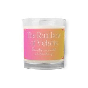 Funny Acotar Candle, Acotar fan gift, acomaf, A court of thorns and roses merch, Velaris Candle, Book Lover Candle, Literary Book Candle