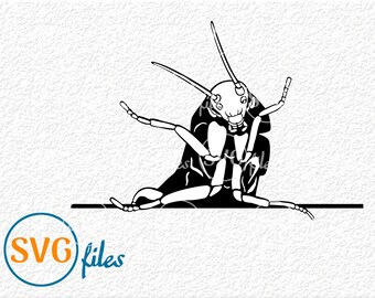 Download Roach Svg Etsy