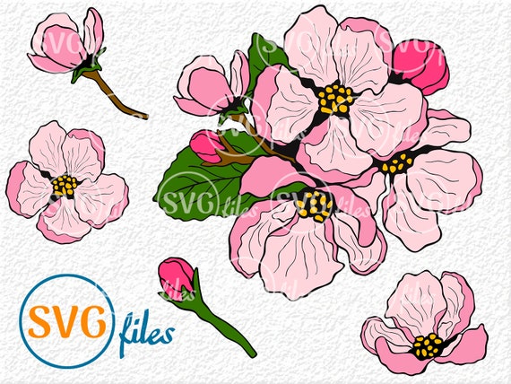 Apple Blossom Svg Apple Blossom Clipart Apple Blossom Cricut Etsy Apple Blossom Svg Apple Blossom Clipart Apple Blossom Cricut Etsy