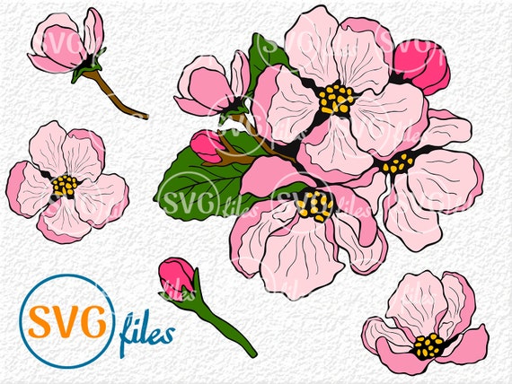 Apple Blossom Svg Apple Blossom Clipart Apple Blossom Cricut Etsy