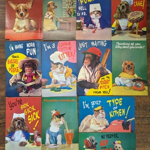 Ensemble de 24 cartes postales de correspondance Animal Antics vintage - Neuves anciennes