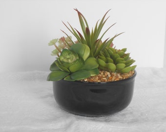 Floral Succulents in a Black Ceramic Bowl