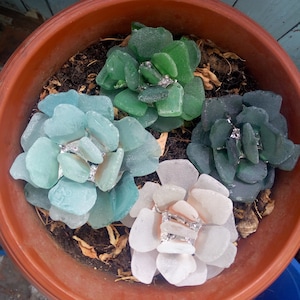 Sukkulente Echeveria Sammler Figur, Glasmalerei, künstliche Perle