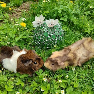 Großer Glas Kaktus + Blume, künstliche Sukkulente, Kaktuslampe Bild 5