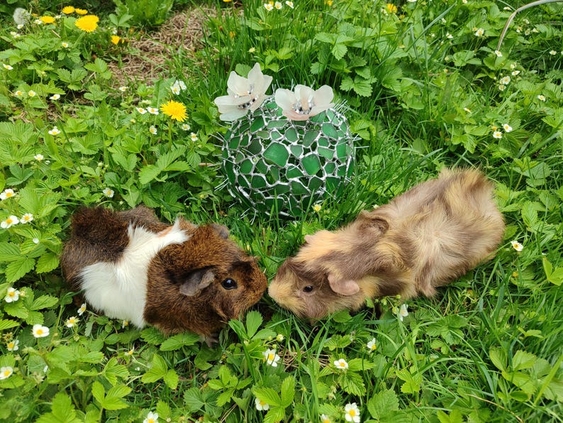 Großer Glas Kaktus + Blume, künstliche Sukkulente, Kaktuslampe Bild 5