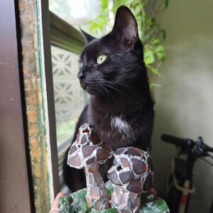 May include: A black cat with green eyes looks out a window. In front of the cat is a decorative mushroom sculpture made of brown and clear glass pieces, set on a base of green glass.