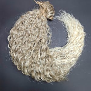 May include: A bundle of wavy, light brown and blonde hair extensions tied with twine. The hair is arranged in a circular shape against a dark background. The hair has a natural, textured appearance.