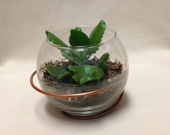 Modern Terrarium / Terrarium with Stand / Candle Holder with Stand / Copper Terrarium / Air Plant Terrarium / Succulent Terrarium