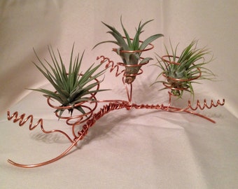 Air Plant Tree / Air Plant Stand / Copper Air Plant Stand /Air Plant Branch Stand / Air Plant Display /  Multiple Air Plant Stand