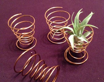 Air plant stand / Air plant display / Air plant holder / tillandsia holder / tillandsia display / tillandsia stand / office air plant stand