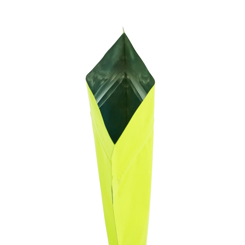May include: A green stand-up pouch with a silver lining. The pouch is open at the top, revealing the silver lining.