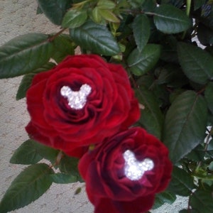 6 disney  Silver Mickey Bling Minnie Mouse Hidden Ears Flower Pins Brides Wedding BOUQUET Various Colours flower pins picks