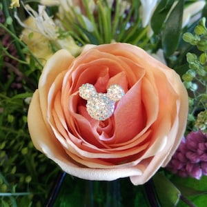 12 Disney Inspired hidden Mickey Minnie mouse theme Crystal Mickey Mouse Flower Pins Bouquet pins Brides Wedding