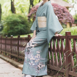 Cute kimono shop dress