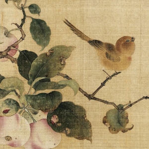 Uccello attratto dal frutto maturo, Arte cinese, Arte giapponese, Arte cineseria, Pittura cinese, Cinese, Giapponese, Pittura giapponese