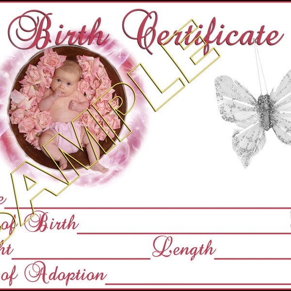 Reborn Baby Doll Birth Certificate Etsy
