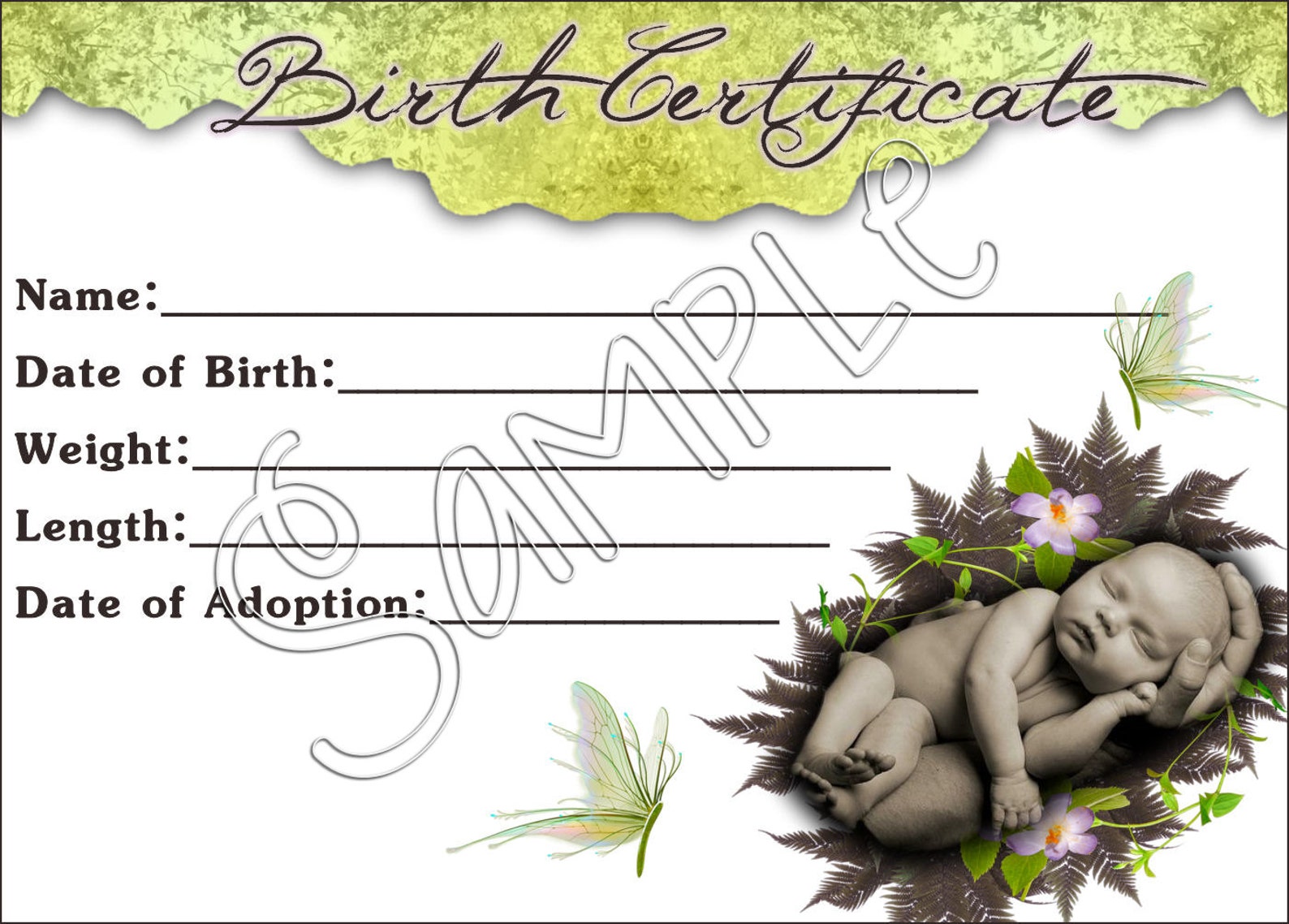 5 Reborn Baby 2 print Yourself Birth Certificate - Etsy