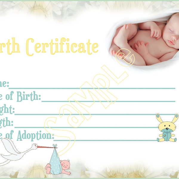 NEW ARRIVAL Reborn Baby Doll Birth Certificate Instant Download You Print PNG Jpeg and Pdf files for 8x10 graphic