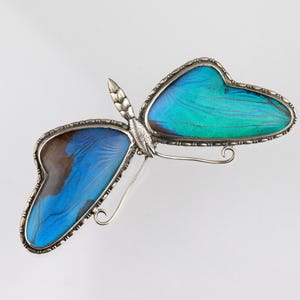 Antique Morpho Butterfly Wing silver Brooch