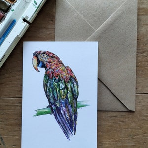 Parrot card, bird cards, birthday card, thank you card, special occasion,bird lover, bird card,get well soon, parrot gift,