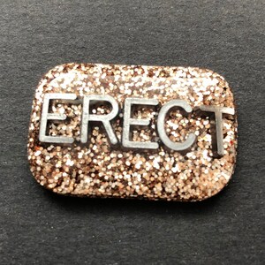 May include: A gold glitter resin rectangle with the word "ERECT" in silver lettering.