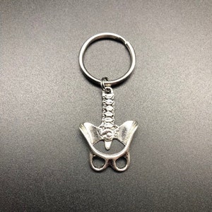 Spine and Pelvis Keychain, Chiropractor, Graduation Gift
