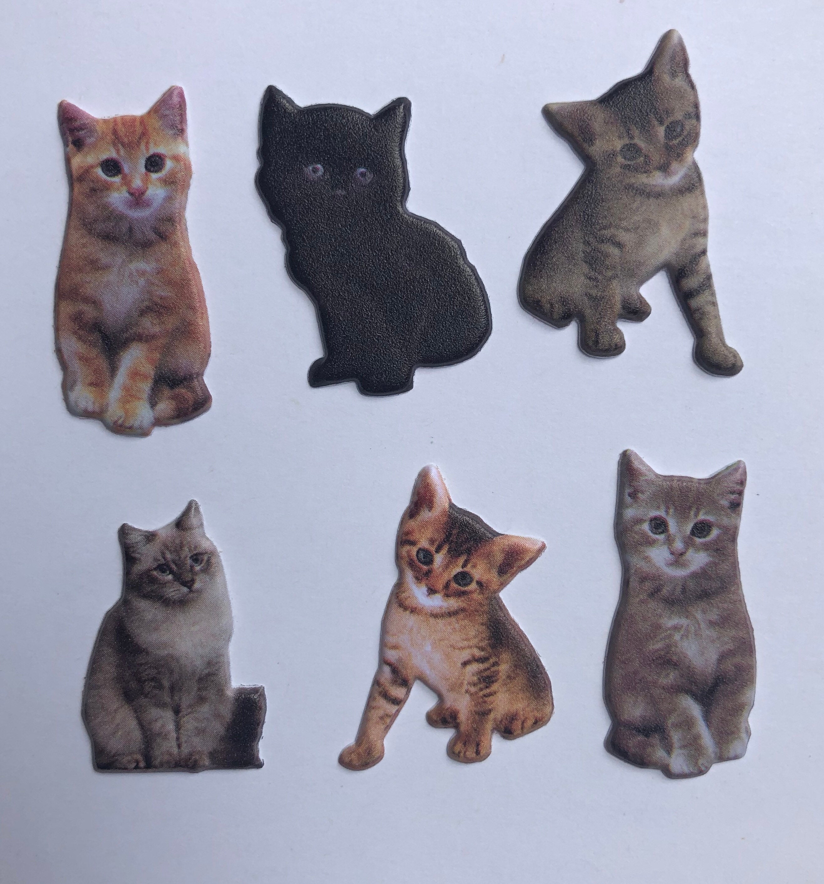 Realistic Cat Xray Markers, Rectangle, Glitter, Cat X-ray Markers, With 2  or 3 Initials - Etsy Israel, image size:2630x2823