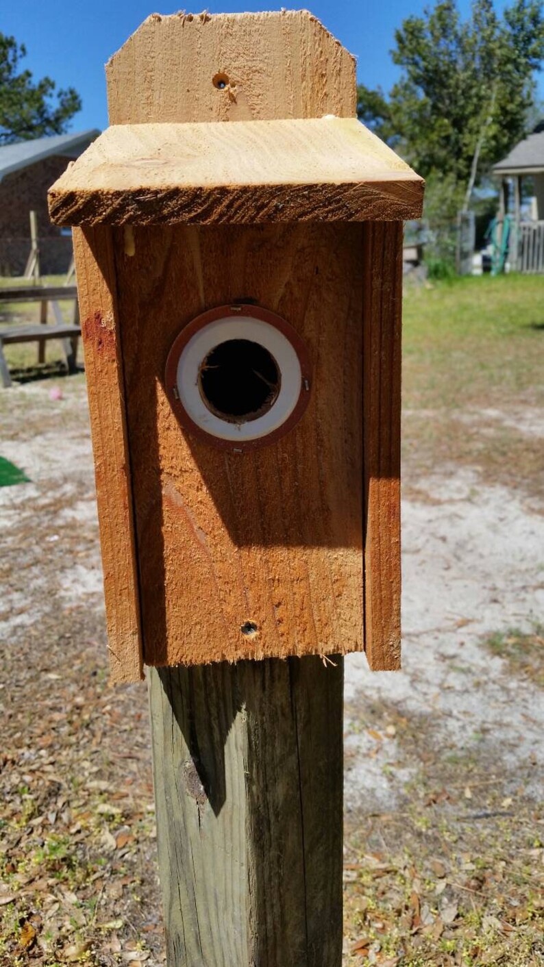 Lot of 4 Do-it-Yourself Blue Bird Nesting Boxes Bird House | Etsy