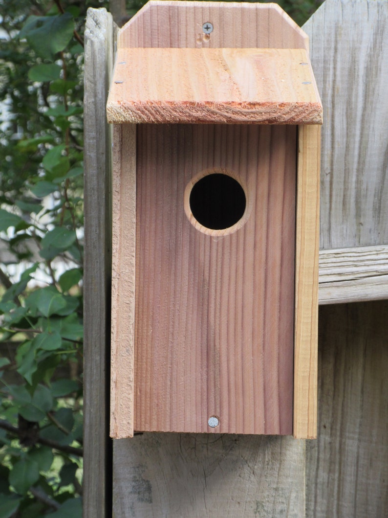 1 Do it Yourself Blue Bird Nesting Boxes Bird House Wild | Etsy