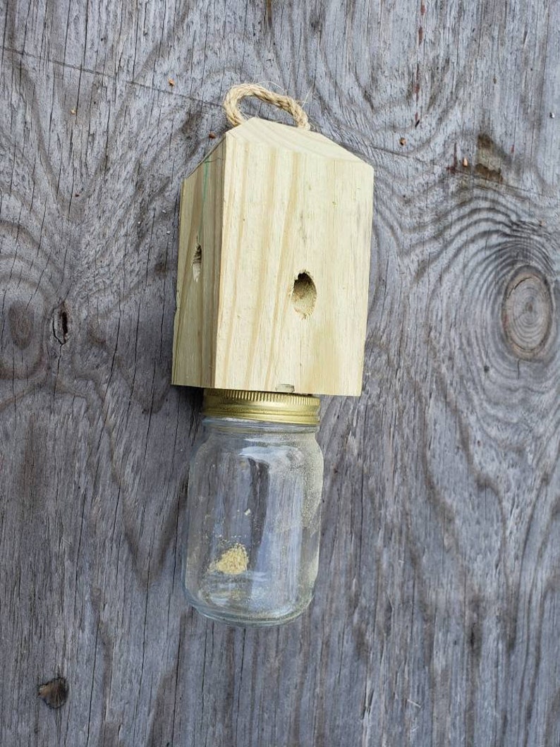 Lot of 4 Wood Boring Carpenter Bee Trap Pest Control Etsy