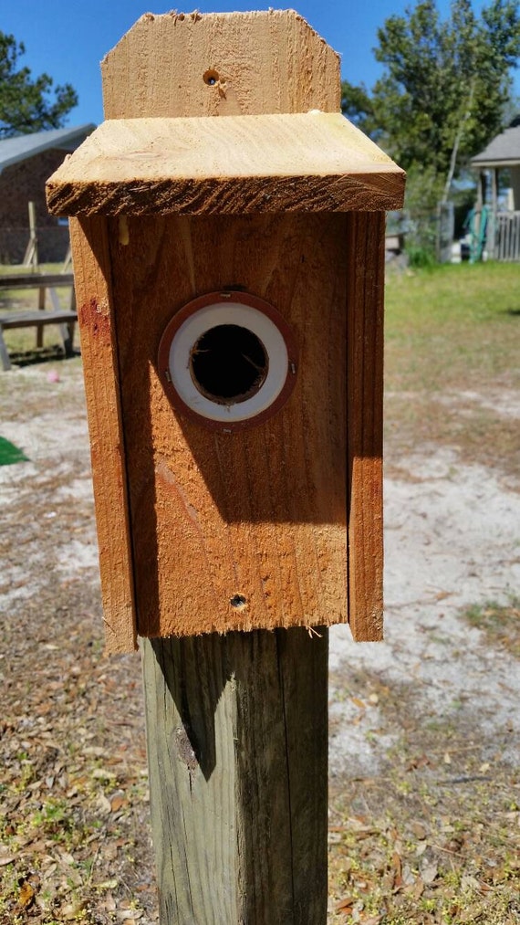 Blue Bird Box With Metal Protector Etsy