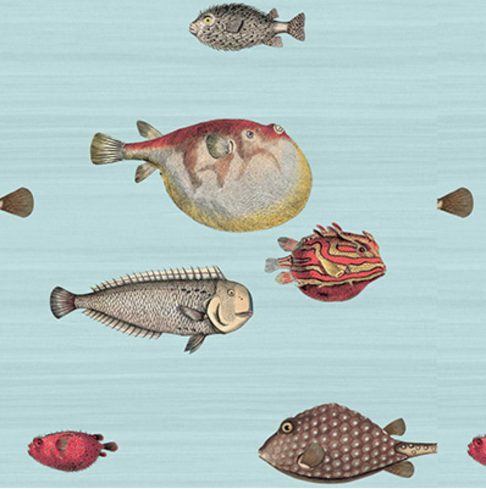 Cole and Son ACQUARIO wallpaper cole and sons wallpaper fish | Etsy