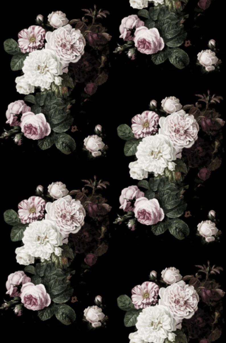 Unduh 700 Wallpaper Black Flower Paling Baru Unduh 700 Wallpaper Black Flower Paling Baru
