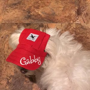 Puede incluir: Un perro blanco con una gorra de b&eacute;isbol roja con el texto "Gabby" bordado en la parte delantera. La gorra tiene un parche negro con una silueta de dinosaurio y el texto "Tail Up" en &eacute;l.