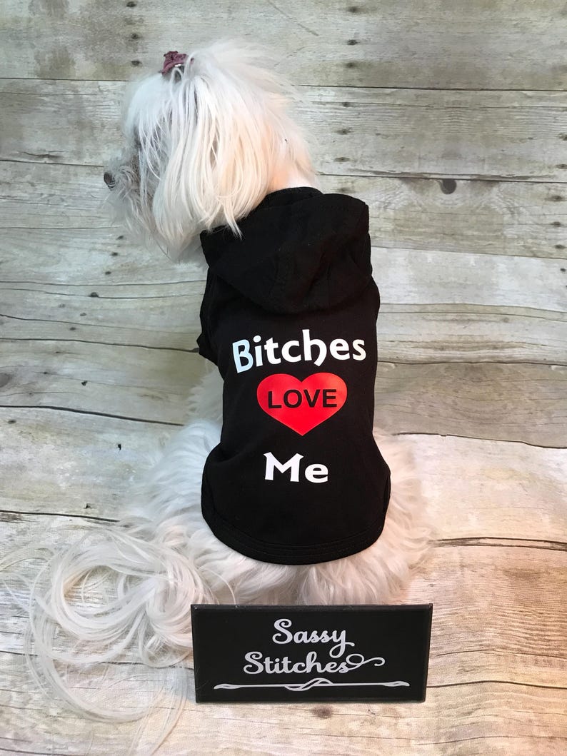 May include: A white dog wearing a black hooded shirt with the text "Bitches Love Me" and a red heart. The dog is sitting on a wooden surface. A black sign with the text "Sassy Stitches" is in the foreground.