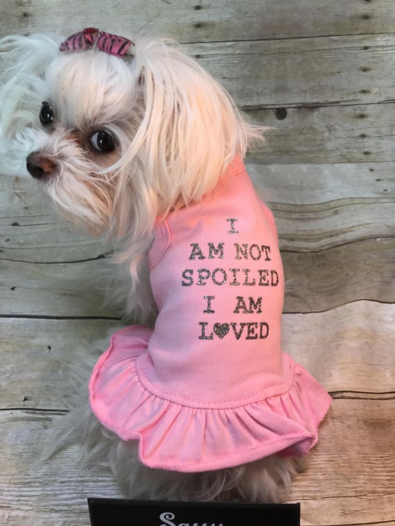 Puppies in dresses 2025