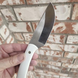AEB- L stainless steel custom knife and sheath