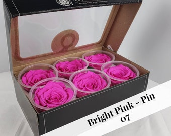 Bright pink preserved rose six packs