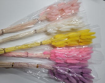 Close out sale! Dried flower bunches - Bunny Tails in pink, purple, yellow, and white