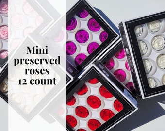 Small (mini)12 count Rose Amor Luxury Ecuadorian Preserved Roses