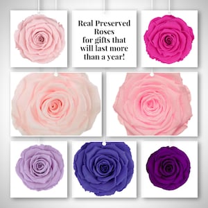 Preserved Rose Six Packs, make your own Mother's Day gifts image 9