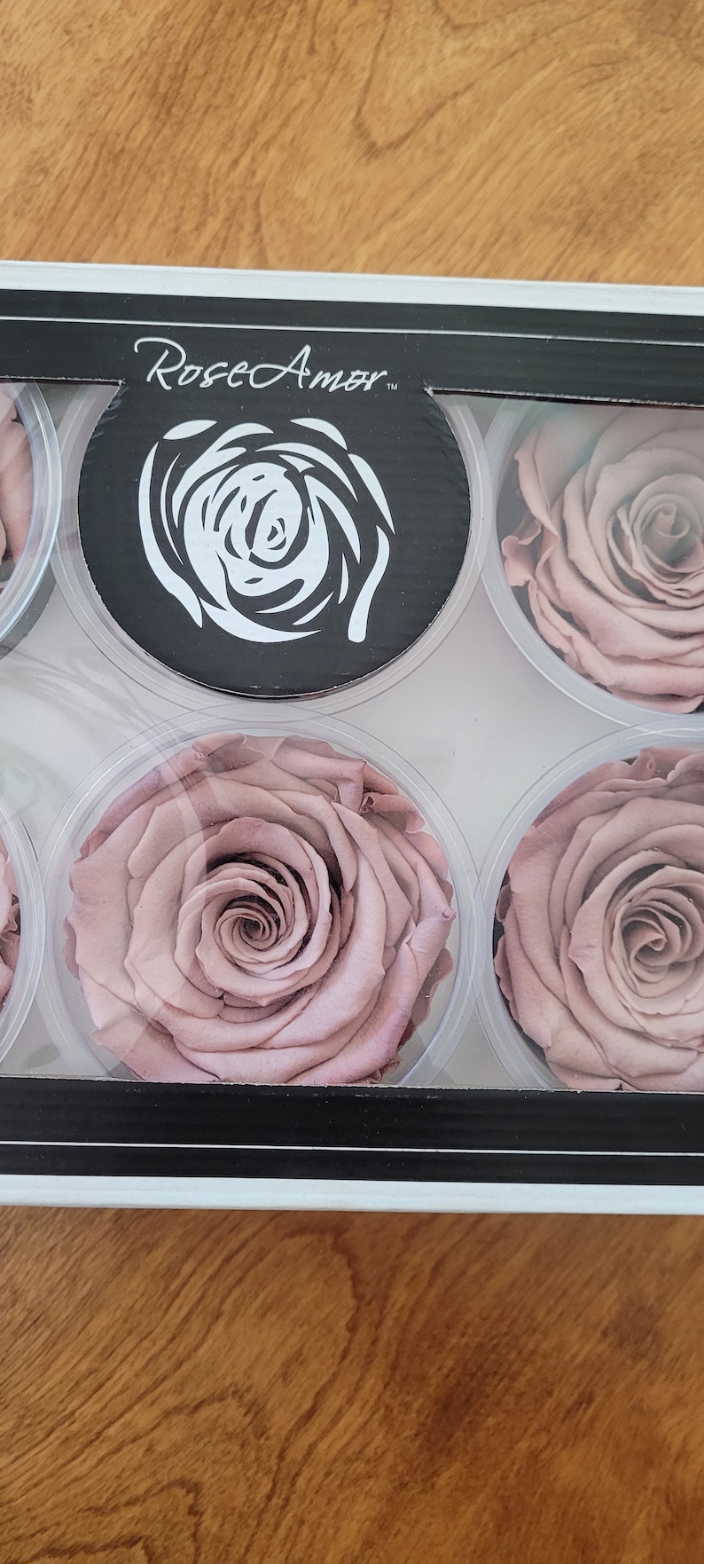 Blush Preserved Rose Six Packs image 4