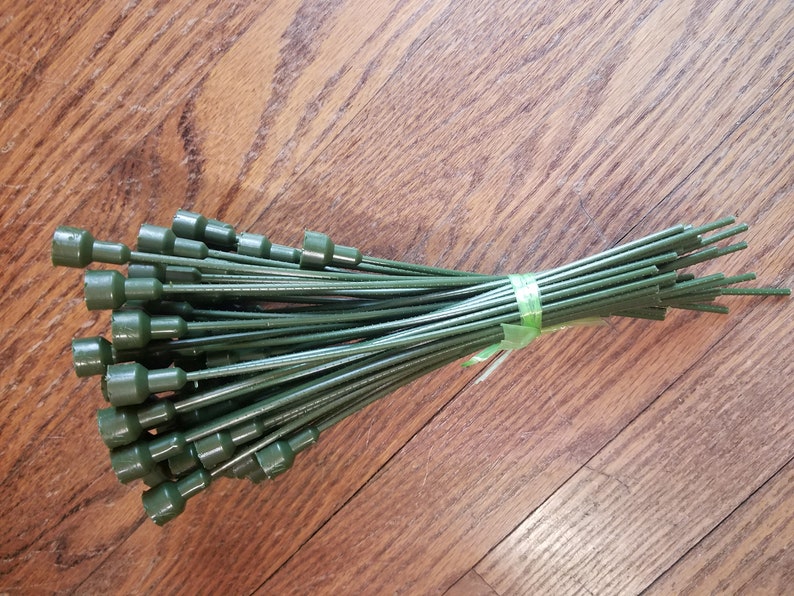 May include: A bundle of green floral stem wires with dark green plastic tops. The stems are tied together with a green ribbon. The wires are on a wooden surface.