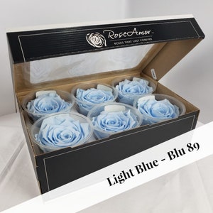 Light Blue Preserved Rose Six Packs