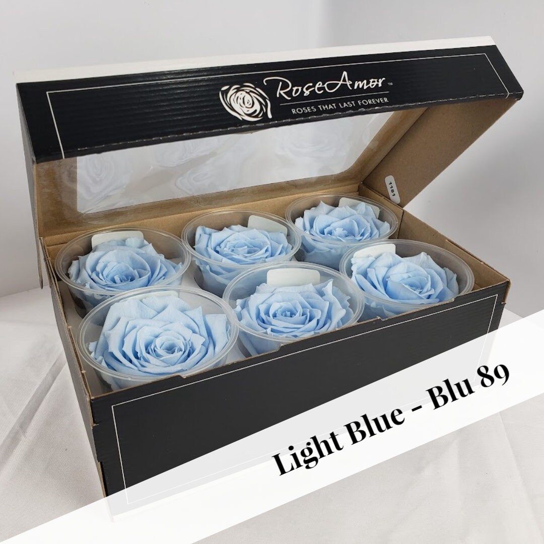 Light Blue Preserved Rose Six Packs - Etsy